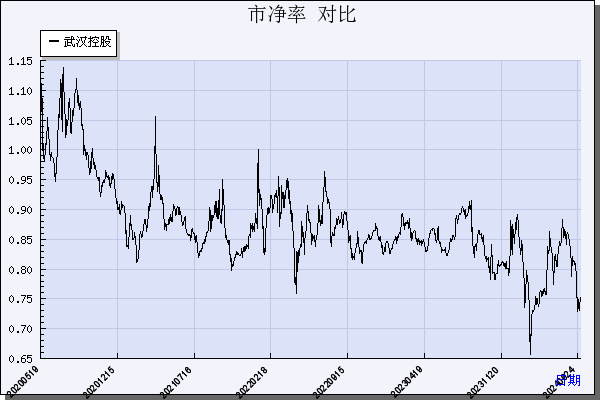 武汉控股（600168）历年市净率对比